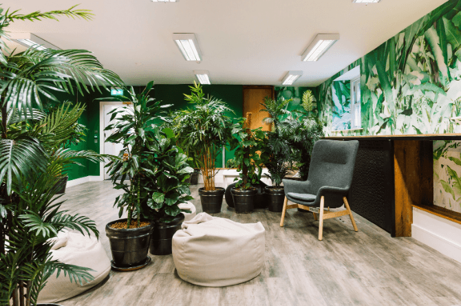 Huckletree_D2_Dublin_Wellness_Space_Zen_Garden